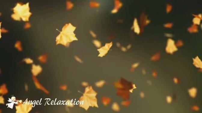 Autumn Leaves_1 Hr Classical Relaxing Music丨Michele Nobler - Impromptu No. 3 in G-Flat Major