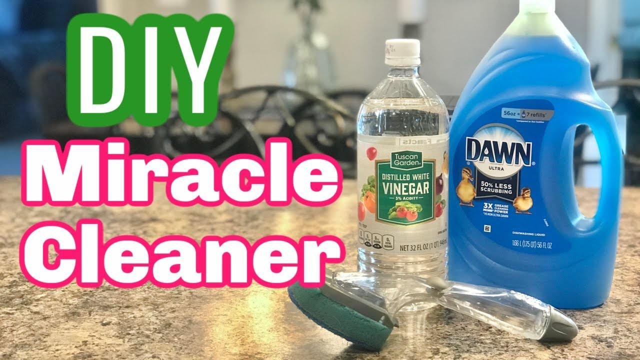 The Best Shower Cleaner Dawn and Vinegar | Videos | Sandy Steinbrook ...