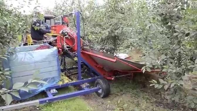 Cosechadora GPL1 - Cosechadora para Plums, Nueces, Almendros, Cerezas, Aceitunas, Mirabelles