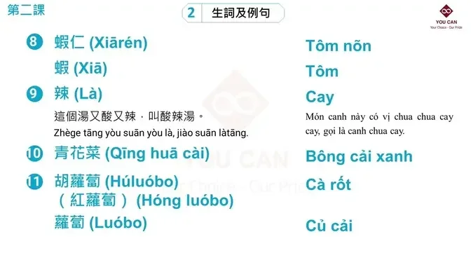 Học tiếng Trung Phồn Thể - Practical Audio Visual Chinese Book 3 - Bảng Dịch Tiếng Việt 2/14