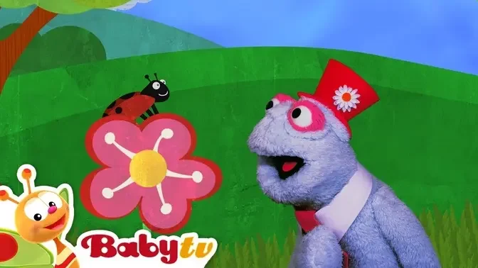Flowers and Animals | BabyTV
