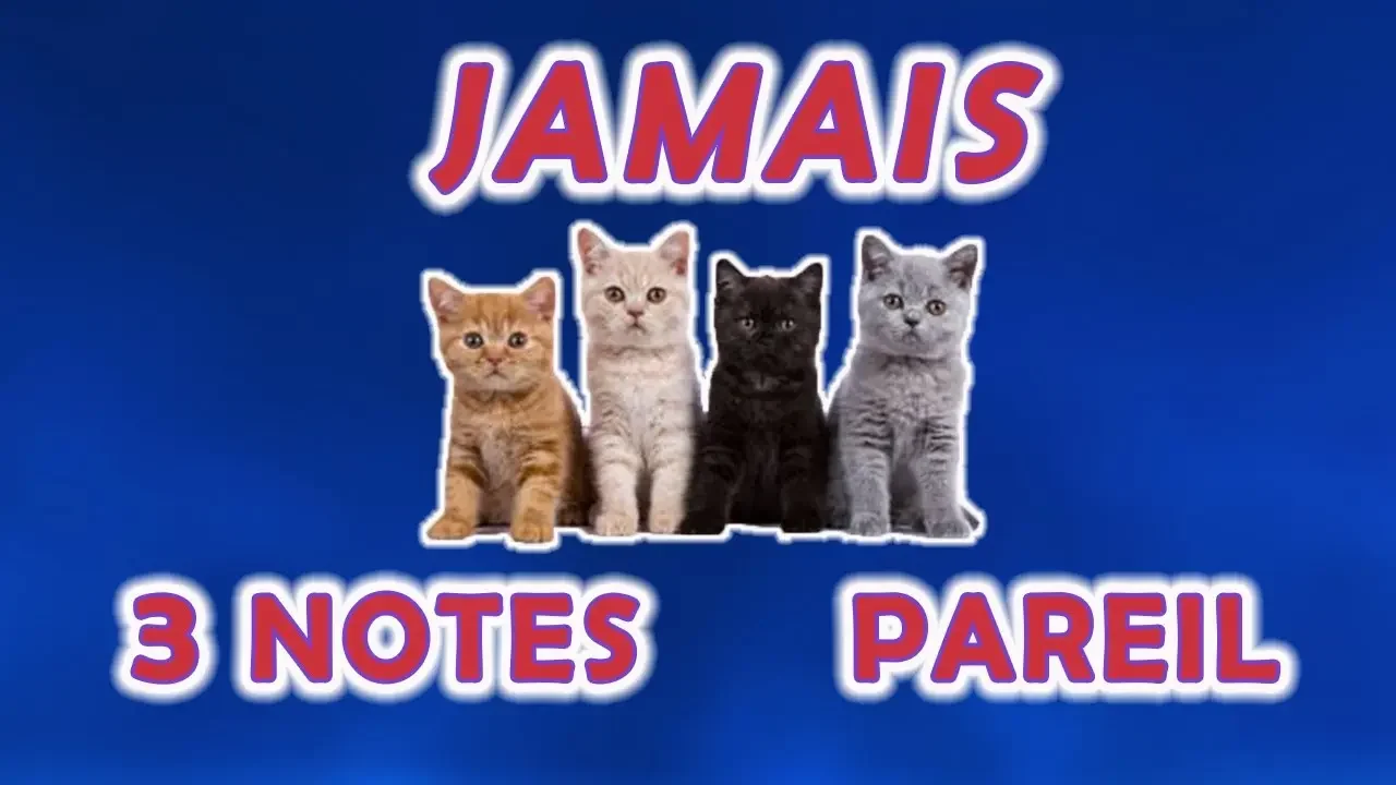 JAMAIS 3 notes pareil !