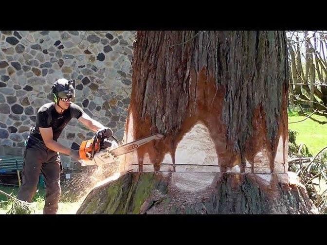 Amazing Tree Cutting Tools - Safely Cut Trees with Winch Ropes, logging ...