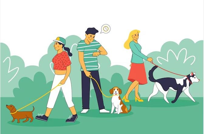 Unleash Convenience: White Label Dog Walking App Solutions