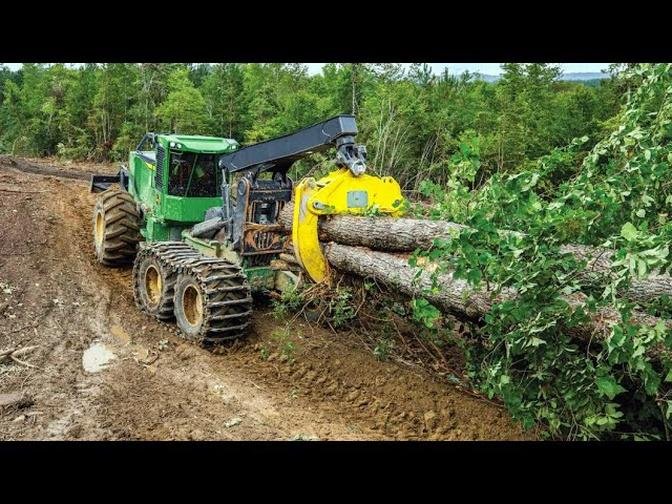 Awesome Machine! Tree Logging - Process of harvesting trees #3