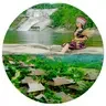 Dân tộc và Miền núi