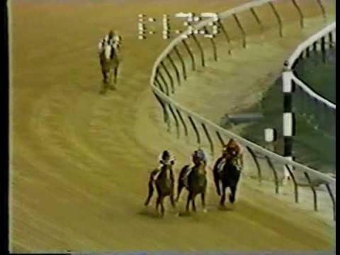 Affirmed vs Alydar - 1977 Laurel Futurity (6th Meeting)