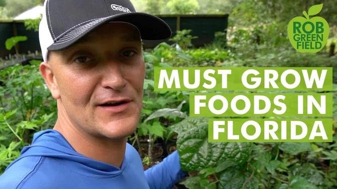 10 Top Plants for a Food Garden in Subtropical Climates- Florida Gardening