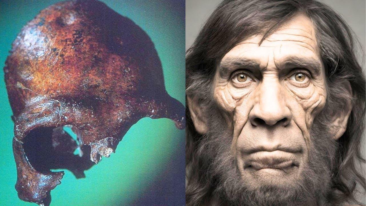 The First Europeans | Exploring the World of Early Neanderthals