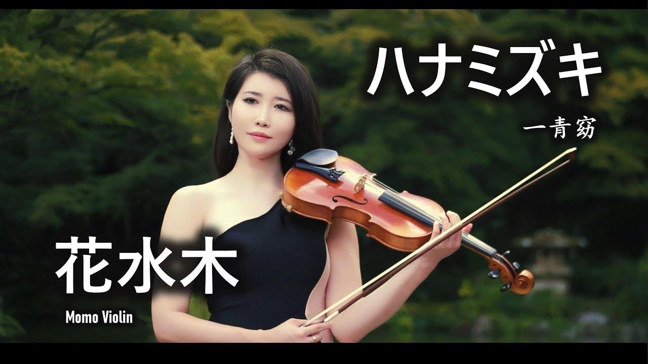 ハナミズキ - 一青窈 バイオリン  (Violin Cover by Momo) 花水木 小提琴