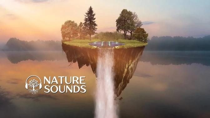 Nature Sounds Forest Sounds Waterfall Nature Sound Waterfall Sounds Bird Sounds Sounds Of Nature