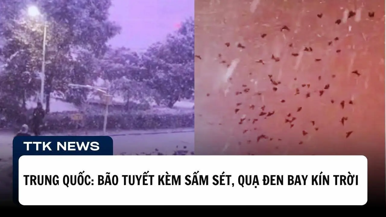 Điềm báo cho dị tượng Bão tuyết kèm sấm sét, Quạ đen bay kín trời ở Trung Quốc| TTK NEWS
