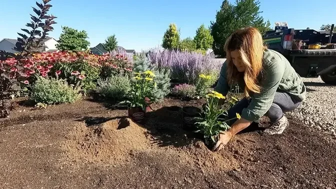 Planting 5 Varieties of Echinacea - They LOVE the Heat! 🔥🌿🌻 // Garden Answer