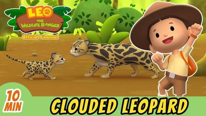 The Clouded Leopard Full Episode Leo the Wildlife Ranger Kids | Videos ...