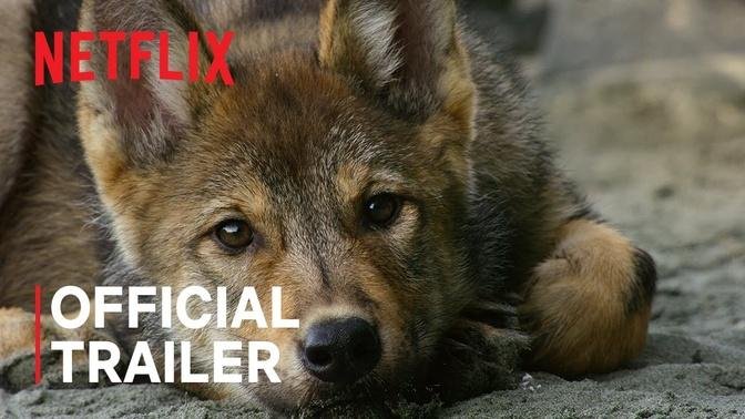 Island of the Sea Wolves | Official Trailer | Netflix