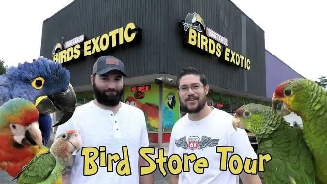 A Personal Tour of Todd Marcus Birds Exotic Bird Store NJ | Videos ...