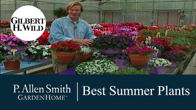 Best Summer and Fall Plant Varieties - Garden Home (312)