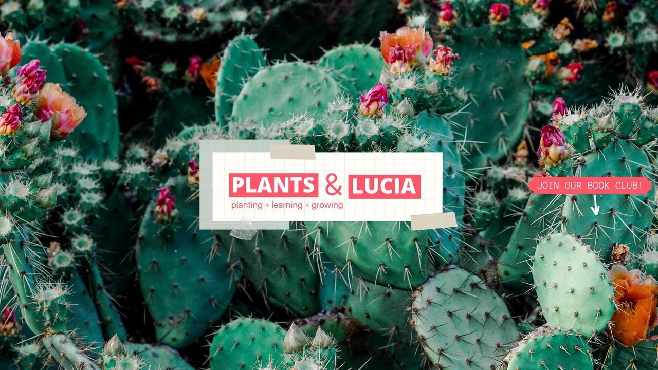 Plants and Lucia