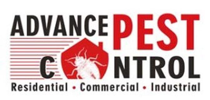 Unveiling the Essentials of Pest Management: Your Guide to Commercial Pest Control and Wasp Removal in Vancouver