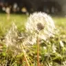 J'aime photographier
