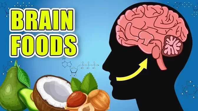 The 10 Best Foods To Boost Brain Power and Improve Memory