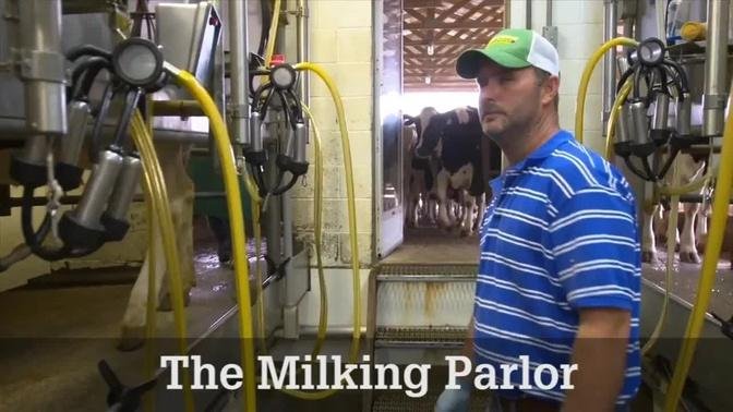 The Milking Parlor