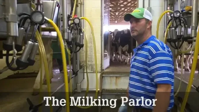 The Milking Parlor