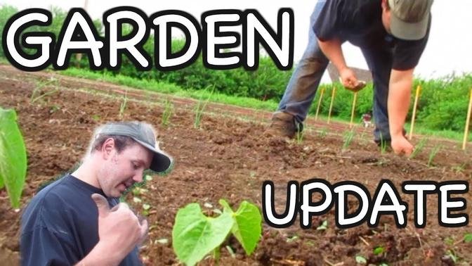 GARDEN Update!
