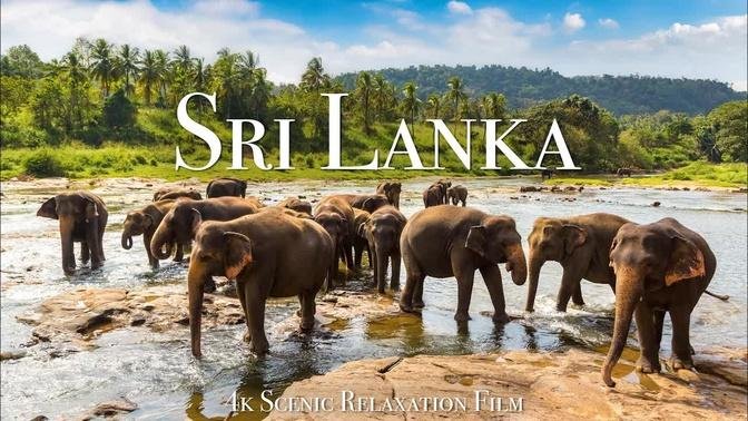 Sri Lanka 4K - Scenic Relaxation Film With Calming Music