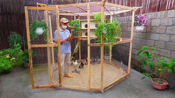 Make cheap bird cage for my wife | Complete guide | Bird cage designs
