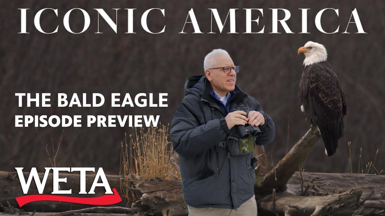 Iconic America | The American Bald Eagle Preview
