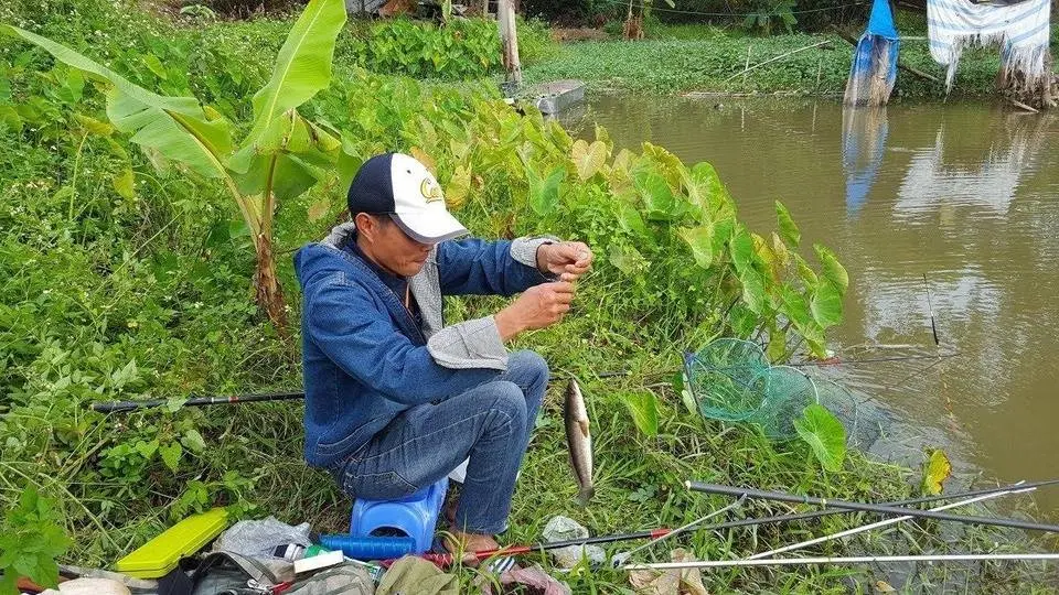 Câu cá sông lớ ngớ câu được 2 con cá lóc bự
