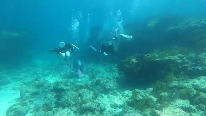 Scuba diving in Key Largo, Florida with my 11 year old son, James.  6/11/2022