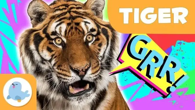 Tiger 🐯 Animals for Kids 🌲 Episode 12