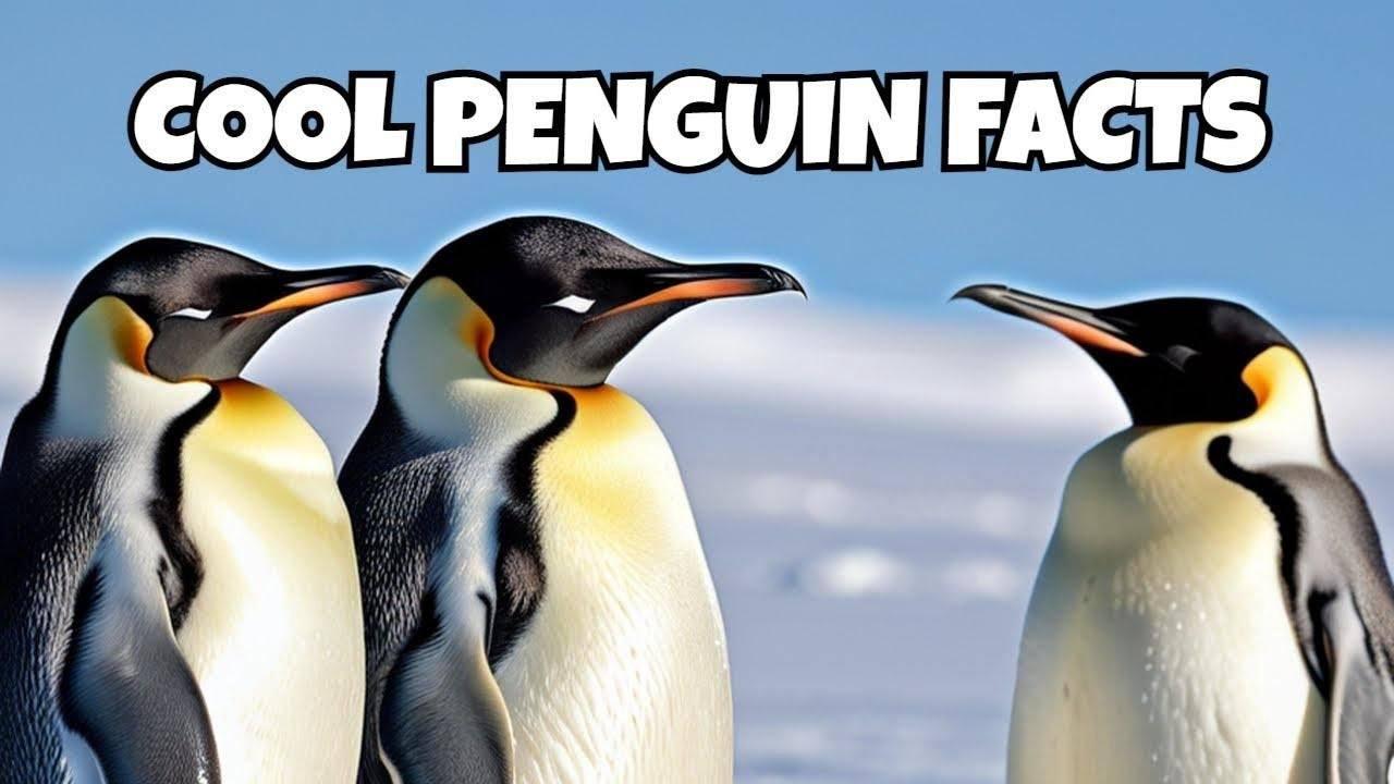 Top 10 Amazing Facts About Penguins