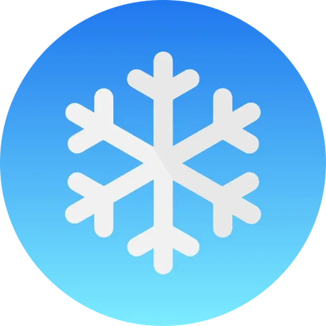 SnowFlakePro