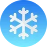 SnowFlakePro