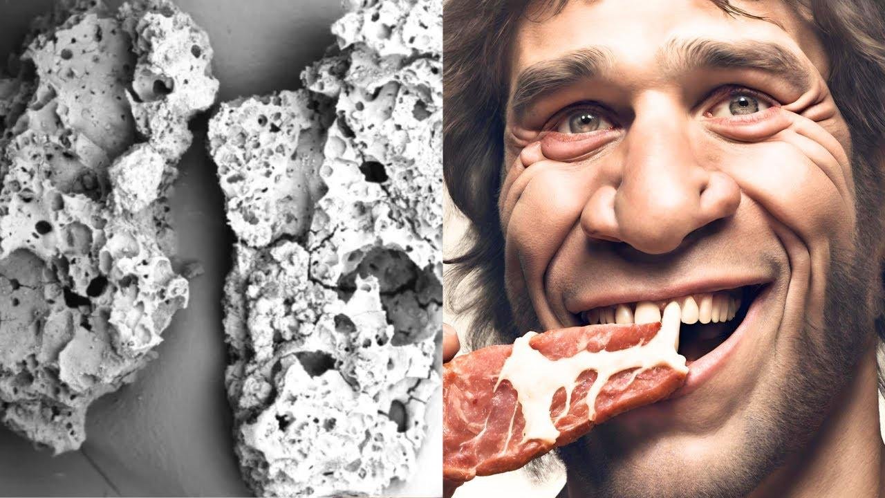 Neanderthals, the First to Use Seasoning while Cooking | Amazing New Find