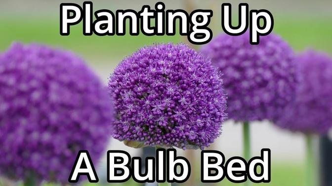 Planting Up A Bulb Bed For Year Round Interest