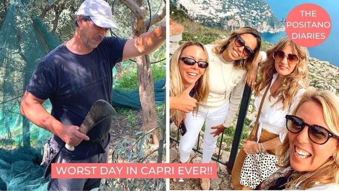 HOW MUCH OLIVE OIL CAN WE MAKE? | & DISASTER ON CAPRI! EP 204
