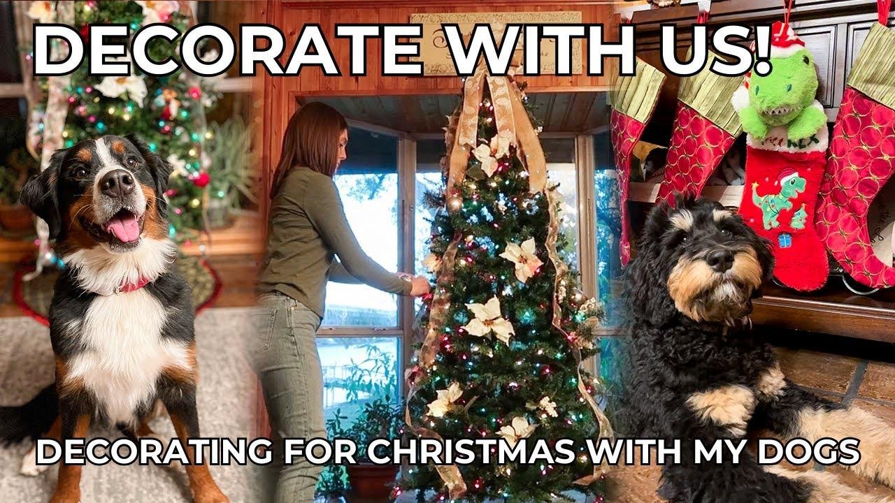 DECORATING FOR CHRISTMAS WITH MY DOGS | dog christmas haul & christmas decorations