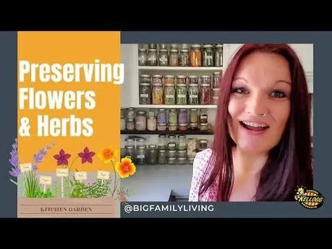 Best Ways to Preserve Flowers & Herbs 🌻🌼
