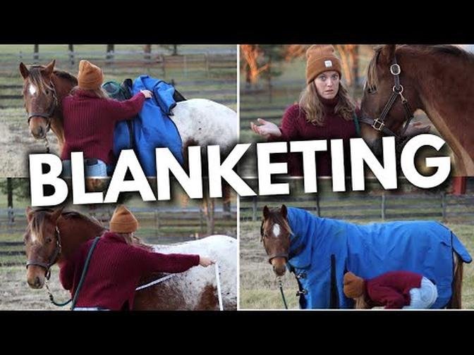 HOW TO BLANKET A HORSE EASY BEGINNERS GUIDE