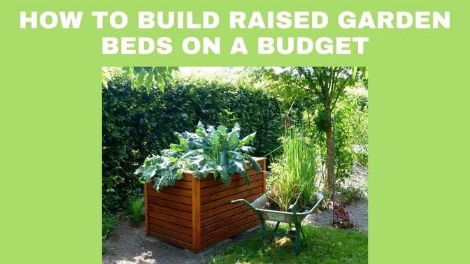 How To Build Raised Garden Beds On A Budget