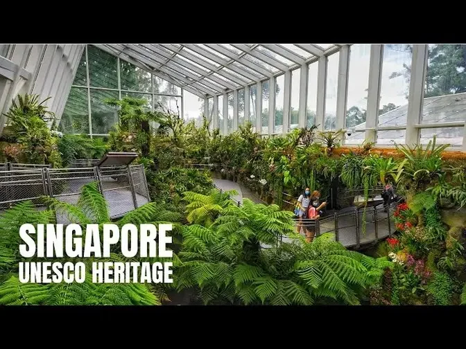 Singapore City: Singapore Botanic Gardens Weekend Walk