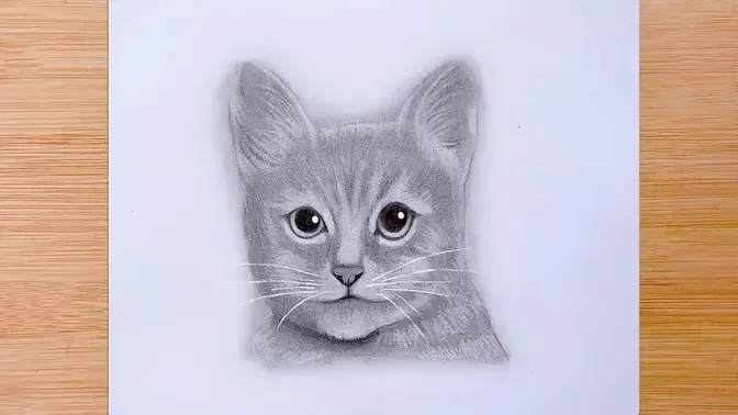 How to Draw a Cat Using Simple Shapes
