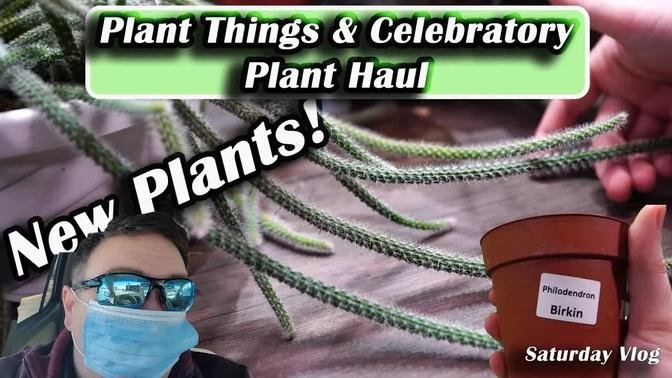 New Plants! Small Plant Haul & Doing Things in the Grow Space