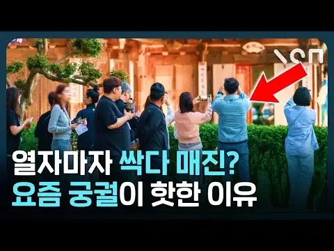 요즘 핫한 한국 궁궐 근황 ㄷㄷ