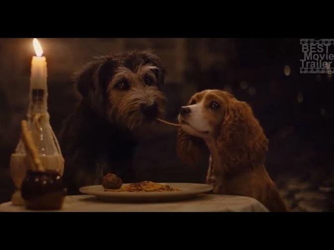 Lady and the Tramp Kiss Scene.  Mongrel in love Bella Notte #bestmovietrailer