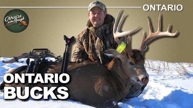 Buck Hunting In The Ontario Timber Canada In The Rough Videos